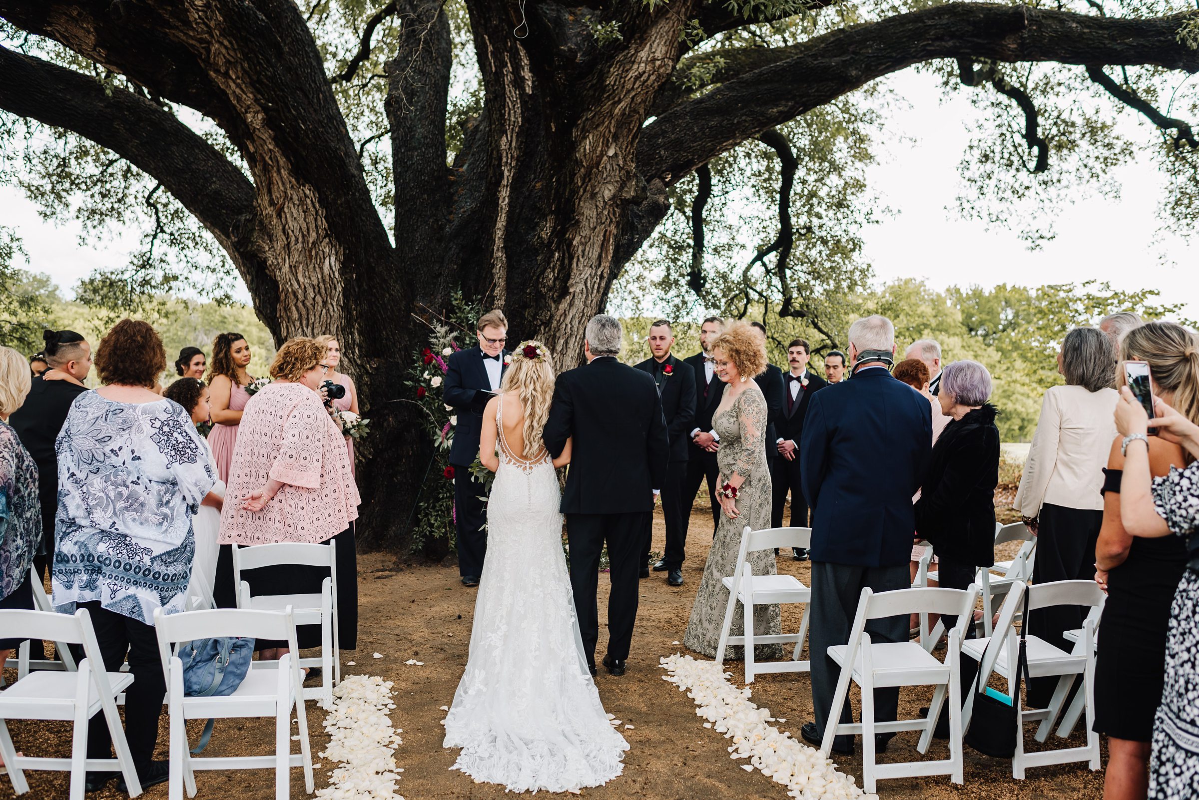bride arriving at altar under oak tree