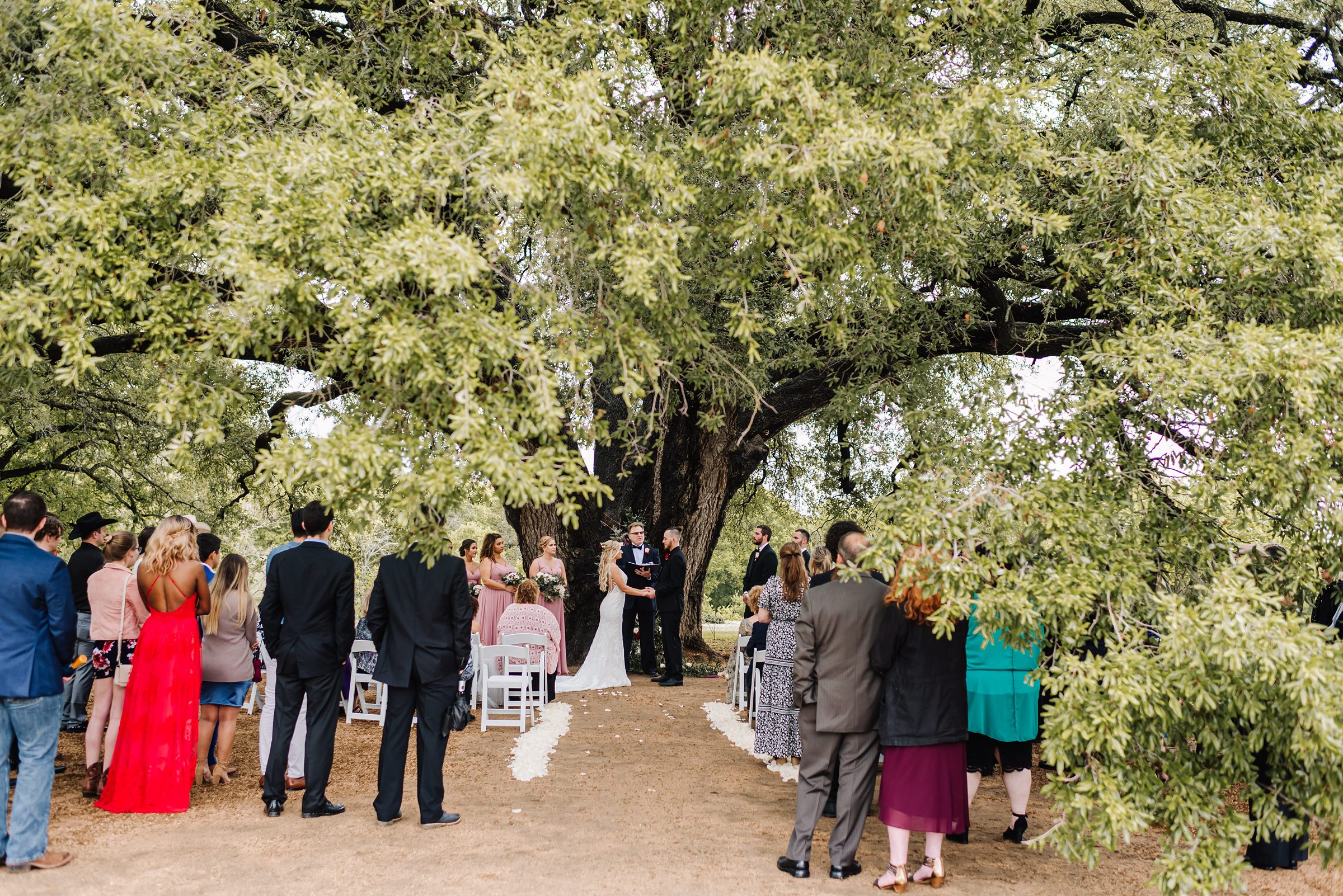 wedding ceremony under oak tree at stonebridge wedding venue