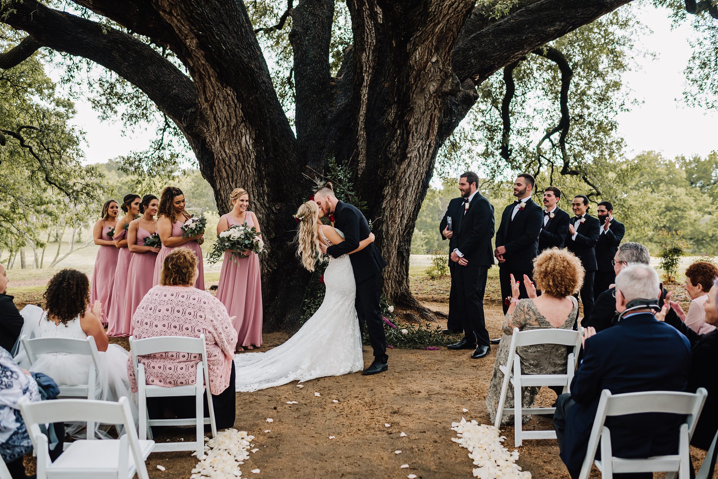 bride and groom kiss under oak tree ceremony